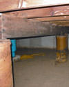 Mold and rot thriving in a dirt floor crawl space in Duluth