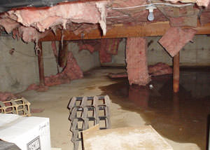 Fiberglass dripping off of the ceilings of a Grand Rapids crawl space