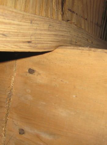 severe damage to a crawl space structure in a Mora home