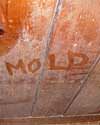 The word mold written with a finger on a moldy wood wall in Rice Lake