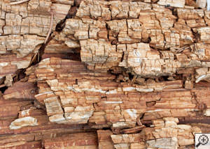 Dry rot damage on wood in Eveleth