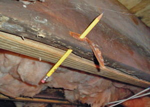 Destroyed crawl space structural wood in Ely