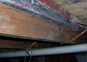 Rotting, decaying wood from mold damage in Deer River