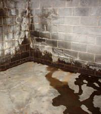 Water seeping through a concrete wall in a Chisholm basement