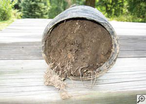 clogged french drain found in Cass Lake, Minnesota and Wisconsin